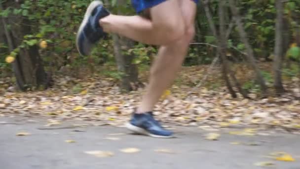 Piernas masculinas de atleta joven corriendo rápido a lo largo del sendero cerca del bosque a principios de otoño. Pies de hombre deportivo corriendo por la carretera en la naturaleza. Fuerte deportista corriendo al aire libre. Vida activa saludable. Vista baja — Vídeos de Stock