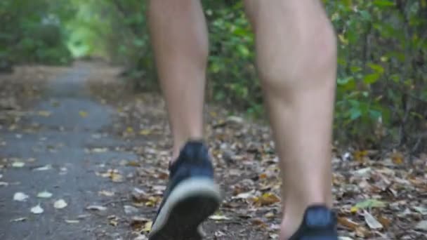 Férfi láb fiatal sportoló fut végig nyomvonal kora őszi erdő. Lábak a sportos ember kocogás mentén a természetben. Kövesse a sportember kültéri képzés. Egészséges, aktív életmód. Hátoldali nézet — Stock videók