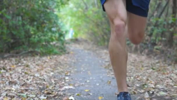 在初秋森林中，运动型男子沿着小径奔跑的特写腿。年轻运动员的男脚在自然小径上慢跑。强壮的运动员在户外锻炼。健康积极的生活方式。慢月 — 图库视频影像