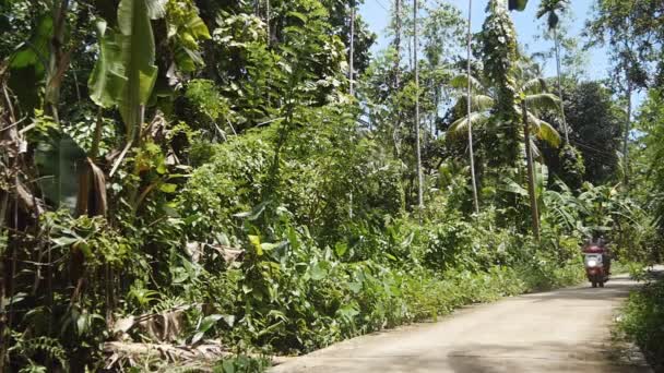Gelukkige man en vrouw in helmen rijdt een scooter op pad in de jungle en verkent de natuur. Jong stel rijdt een brommer op een pad in het regenwoud en geniet van zomeravontuur. Vakantieconcept — Stockvideo
