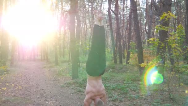 Giovane uomo che fa stand a bella foresta soleggiata. Forte allenamento ginnico in ambiente scenico. Atleta che mostra esercizi di yoga all'aperto. Concetto di stile di vita sano e attivo. Dolly ha sparato da vicino — Video Stock