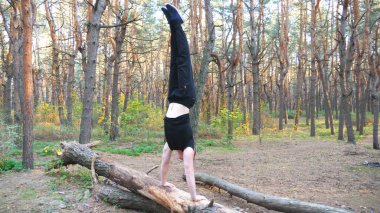 Genç adam ormanda amuda kalkıyor. Tahtada dublörlük yapan cesur ve güçlü bir adam. Sporcu dışarıda gösteri yapıyor. Sportif ve sağlıklı bir yaşam tarzı. Manzaralı arka plan. Dolly vurdu..