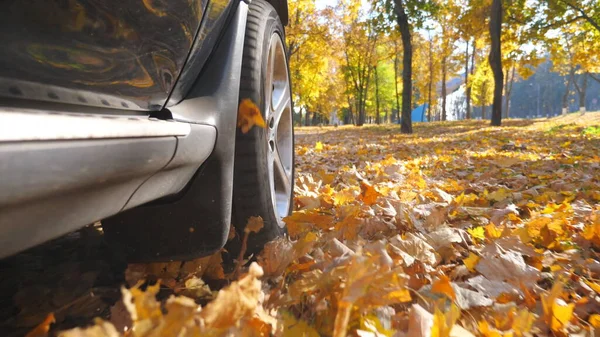 从黑色Suv的侧面看 在黄色落叶上快速地穿过街道 在阳光明媚的日子 强劲有力的汽车沿着城市秋季公园行驶 秋天的场景环境 慢动作 — 图库照片
