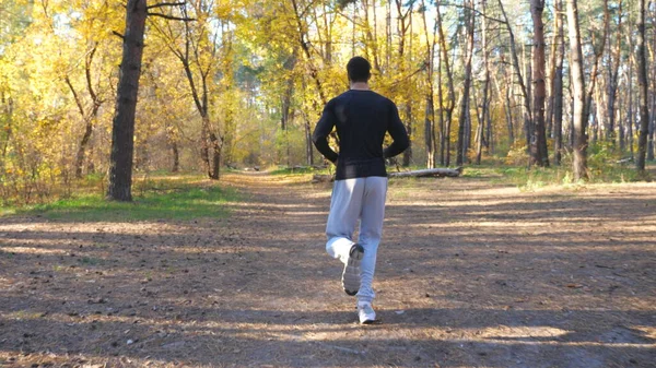 Hombre Irreconocible Corriendo Rápido Por Sendero Del Bosque Día Soleado — Foto de Stock
