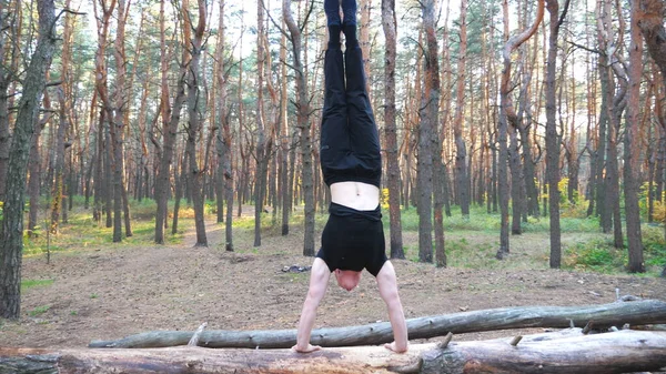 Junger Mann Macht Handstand Auf Baumstämmen Wald Hardy Und Starker — Stockfoto