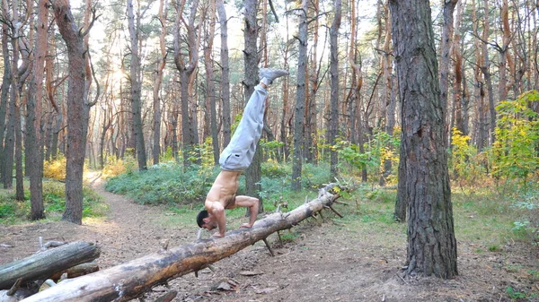 强壮的男子在森林的原木上手倒立 强壮有力的家伙在训练中做特技表演 运动员在室外表演 以阳光为背景的场景环境 Dolly Shot — 图库照片