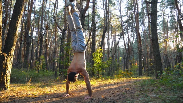 Muskularny Mężczyzna Stojący Rękach Pięknym Słonecznym Lesie Silny Trening Gimnastyczny — Zdjęcie stockowe