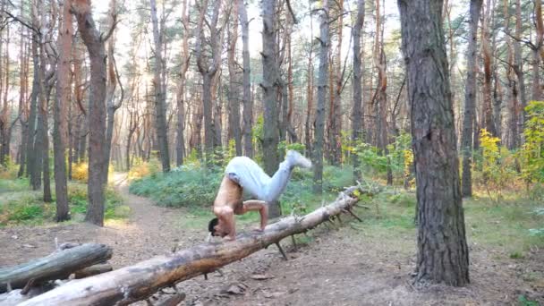 强壮的男子在森林的原木上手倒立.强壮有力的家伙在训练中做特技表演.运动员在室外表演.以阳光为背景的场景环境。Dolly shot — 图库视频影像