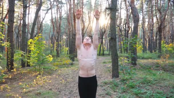 Jeune homme travaillant dans une belle forêt ensoleillée. Entraînement gymnaste flexible dans un environnement pittoresque. Athlète levant les mains montrant des exercices de yoga en plein air. Concept de mode de vie sain et actif — Video