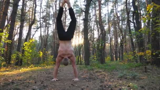 Jeune homme faisant handstand à la belle forêt ensoleillée. Forte formation de gymnaste dans un environnement pittoresque. Athlète montrant des exercices de yoga en plein air. Concept de mode de vie sain et actif. Dolly Shot Gros plan — Video