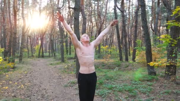 Mladý muž cvičí v krásném slunném lese. Pružný gymnastický výcvik v malebném prostředí. Sportovec ukazující cvičení jógy venku. Koncept zdravého a aktivního životního stylu. Uzavření pomalého pohybu — Stock video