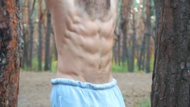 Fermer le torse musculaire de l'homme athlétique faisant des exercices abdominaux sur la barre horizontale. Un sportif qui travaille à Forest. Entraînement sportif en plein air. Concept de sport et mode de vie actif. Moteur lent