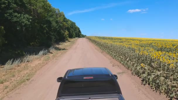 空中拍摄的黑色皮卡快速骑过空旷的乡村道路。越野车沿着田野附近尘土飞扬的路线行驶.夏天的一天,在乡间开车的时候飞越了汽车.耕作的概念 — 图库视频影像