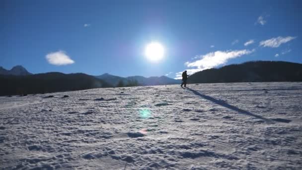 El tipo irreconocible se va caminando nórdico con palos en el prado nevado en el día soleado. Joven excursionista camina en el campo de nieve y hace ejercicio en el día de invierno. Concepto de estilo de vida activo saludable. Movimiento lento — Vídeo de stock