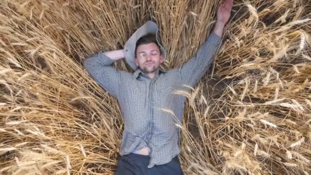 Top kilátás a fiatal mezőgazdasági termelő fekvő búza szárak és pihenés a gabona területen. Boldog férfi agronómus feküdt árpa szárak és pihentető árpa réten. A mezőgazdasági üzlet fogalma. Lassú mozgás. — Stock videók
