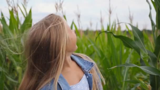 Joyeux joyeux fille regardant dans la caméra et enlever son chapeau de paille sur le fond flou de champ de maïs. Portrait de belle petite enfant jouant avec ses longs cheveux blonds dans la prairie — Video