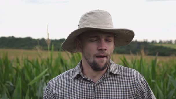 Portrét unaveného farmáře zívajícího na rozmazaném pozadí kukuřičného pole. Vyčerpaný ospalý dělník stojící na kukuřičné louce a dívající se do kamery. Pojem zemědělské podnikání. Zavřít — Stock video