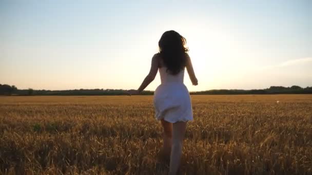 Aantrekkelijke vrolijke vrouw in witte jurk loopt door het veld van tarwe bij zonsondergang. Volg naar het jonge zorgeloze meisje dat geniet van de vrijheid in een prachtige natuur. Scenic zomerlandschap met zonsondergang — Stockvideo