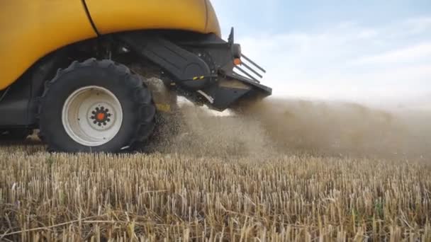 Cosechadora trabajando en el campo, recogiendo la cosecha de trigo maduro y tirando paja detrás. Proceso de cosecha en la granja. Concepto de agronomía. Vista lateral en cámara lenta — Vídeos de Stock