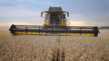 Buğday hasatçısının akşam vakti mahsul topladığı ön manzara. Tarlasında ya da çiftliğinde çalışan tanınmayan bir çiftçi. Arka planda güzel bir manzara. Hasat kavramı. Yavaş çekim