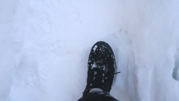 Szczegółowy widok na męskie stopy spacerujące po śnieżnym szlaku. Facet w butach depczący po białym śniegu. Nierozpoznany wędrowiec spacerujący po lesie. Zimowy pomysł. POV Powolne mo Zamknij Top View — Wideo stockowe