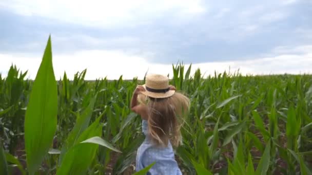 Suivez la petite fille au chapeau de paille qui traverse le champ de maïs par temps couvert. Petit garçon en robe qui court sur la prairie verte. Mignon enfant aux longs cheveux blonds traversant la plantation de maïs. Mouvement lent — Video