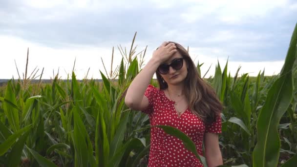 戴着太阳镜的漂亮可爱的女孩看着摄像机，在玉米地的背景下把她长长的棕色头发理直。站在草地上穿着红色衣服的年轻貌美女子的画像 — 图库视频影像