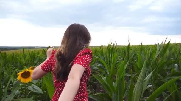 Sígueme la foto de una joven vestida de rojo tirando de su novio en el campo de maíz. Chica feliz sosteniendo la mano masculina y corriendo por el prado. Concepto de amor y felicidad. Punto de vista de cámara lenta POV — Vídeos de Stock