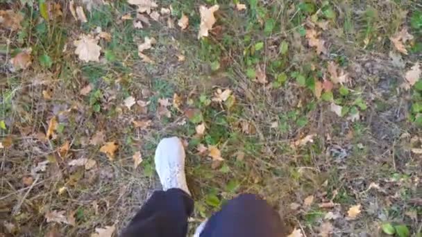Standpunt naar mannelijke voeten in sneakers stappen langs het pad buiten. Benen van een jongeman gaan vroeg in de herfst op droog gras. Hij wandelt naar de wilde natuur. Langzame beweging — Stockvideo