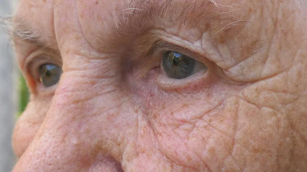 Portrait Senior Grandma Looks Distance Sad Sight Close Gray Eyes — Stock Photo, Image