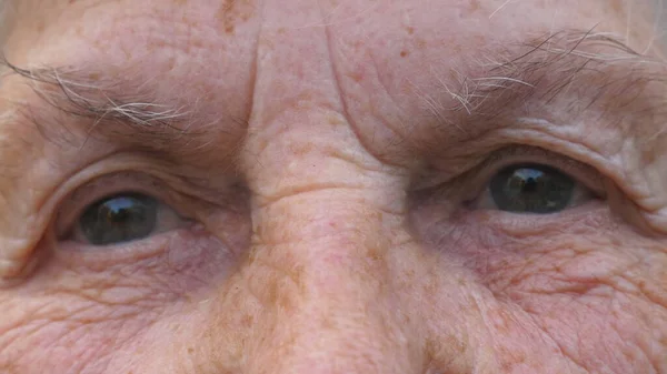 Close Gray Eyes Elderly Grandmother Stares Blinks Happy Sight Portrait — Stock Photo, Image