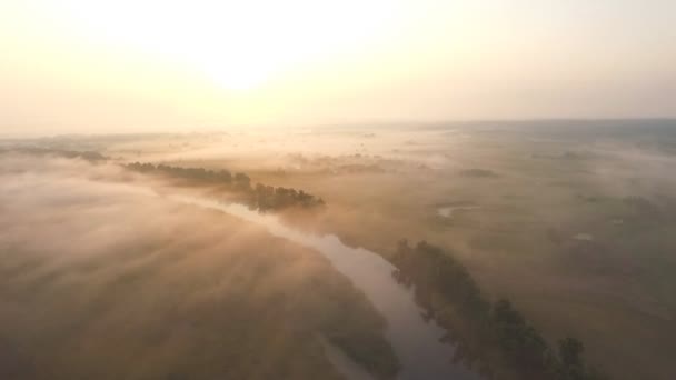 Vue aérienne d'une belle prairie sans fin recouverte de brouillard au lever du soleil. Vue panoramique imprenable sur la campagne brumeuse tôt le matin. Lumineux ensoleillement grande vallée brumeuse. Mouvement lent — Video