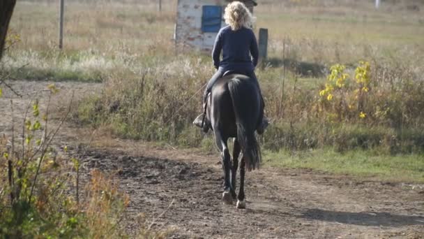 Unerkennbare blonde Frau, die an einem sonnigen Tag auf einem reinrassigen schwarzen Pferd reitet. Jockeyspielerin zu Pferd auf dem Wiesenweg. Schöne Naturumgebung. Konzept der Tierliebe. Rückseite — Stockvideo