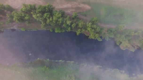 Vue du haut vers le bas sur la petite rivière brumeuse qui coule dans la vallée. Vue aérienne de la belle prairie brumeuse à l'aube. Calme la nature. Paysage rural pittoresque tôt le matin. Mouvement lent — Video