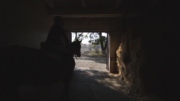 Κοριτσάκι που ιππεύει καθαρόαιμο καφέ άλογο από το Paddock. Ο μικρός αναβάτης μπαίνει στο στάβλο. Καβαλάρης ετοιμάζεται για εκπαίδευση. Πίσω όψη Αργή κίνηση Κλείσιμο — Αρχείο Βίντεο