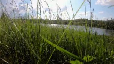 Canlı bir alanda uzun otların arasında gezinen bisikletçi, dinamik hareket ve doğa ile etkileşim sergiliyor, açık hava macerası ve keşiflerinin özünü yakalıyor..