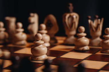 Satranç taşlı ahşap satranç tahtası