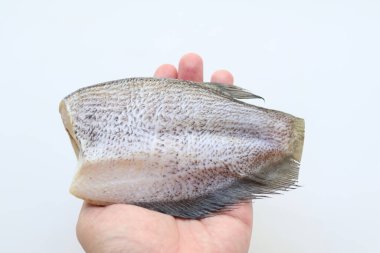 Beyaz arka planda yılan derisi gourami.