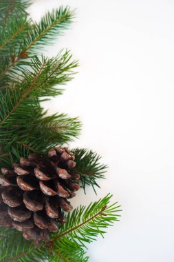 Çam kozalağı izole beyaz arka plan üzerinde ile Noel dekorasyon köknar ağacı dalları. Uzay kopyalayın. Noel ve yeni yıl kartı şablonu.