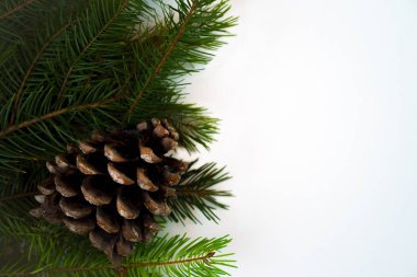 Çam kozalağı izole beyaz arka plan üzerinde ile Noel dekorasyon köknar ağacı dalları. Uzay kopyalayın. Noel ve yeni yıl kartı şablonu.