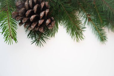 Çam kozalağı izole beyaz arka plan üzerinde ile Noel dekorasyon köknar ağacı dalları. Uzay kopyalayın. Noel ve yeni yıl kartı şablonu.