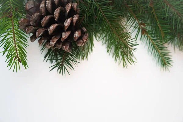 Çam kozalağı izole beyaz arka plan üzerinde ile Noel dekorasyon köknar ağacı dalları. Uzay kopyalayın. Noel ve yeni yıl kartı şablonu.