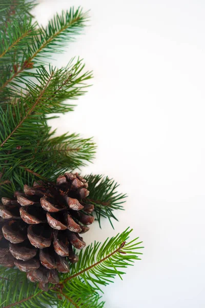 Christmas decoration fir tree branches with pine cone on white background isolated. Copy space. Christmas and New Year card template. Stock Photo