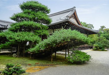Kyoto, Japonya 'daki Japon bahçesi.