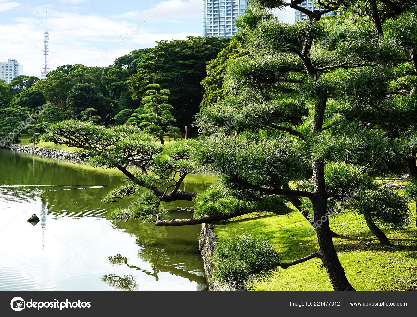 Nature And Urban Concept Beautiful Japanese Hamarikyu Garden Park In The Center Of Tokyo With Lake And Reflaction Of Green Trees In Autumn Near The Building Offices And Banks Tokyo Japan Nature And Urban Concept Beautiful Japanese Hamarikyu Garden Park In The Center Of Tokyo With Lake And Reflaction Of Green Trees In Autumn Near The Building Offices And Banks Tokyo Japan