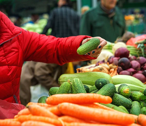 Értékesítése, a friss, bio zöldségek és gyümölcsök a zöld piac vagy a mezőgazdasági termelők piacra Belgrádban hétvégén. női választotta a legjobb uborka. életmód. kéz — Stock Fotó