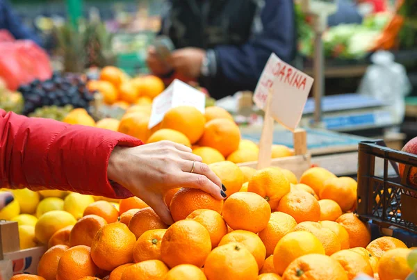 Értékesítése, a friss, bio zöldségek és gyümölcsök a zöld piac vagy a mezőgazdasági termelők piacra Belgrádban hétvégén. női választotta a legjobb uborka. életmód. Minden részére diéta egészséges táplálkozás. — Stock Fotó