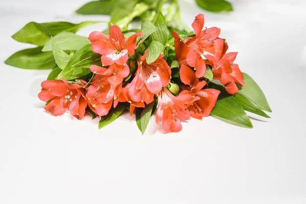 Flores lirio en color del año 2019 Pantone - Living Coral. Viviendo en coral. Ramo romántico para la cena de San Valentín boda celebración sobre fondo blanco. tonificado. primer plano, copyspace . — Foto de Stock