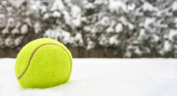 Tenis Noel Noel ağaçları arka plan ve düşen kar taneleri spor kart karda topa. Neşeli Noel ve mutlu yeni yıl tenis kavramı