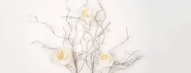 Beyaz kağıt gül beyaz arka plan üzerinde gümüş dalları üzerinde. Düz yatıyordu, en iyi görünüm. Sevgiliye arka plan